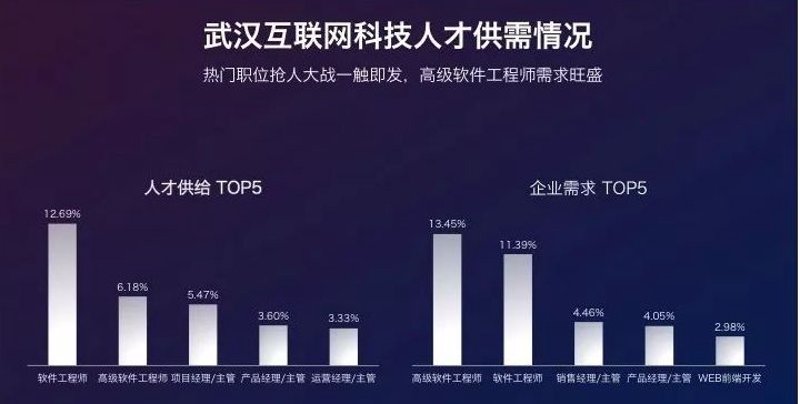 武汉软件开发：探索本地IT行业的蓬勃发展